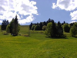 Landschaft im Schwarzwald - Ausflug in die Natur vom Felsenstble